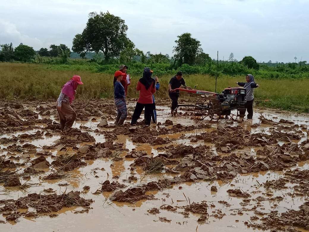 Praktikum Alat Berat Pertanian
